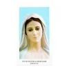 Immagine Nostra Signora Di Medjugorje Con Preghiera 6x11 Cm Pz 100