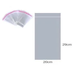 Bustina In Plastica Chiusura Adesiva 20x29 Cm Pezzi 100